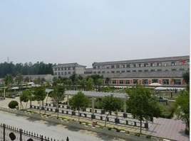 皂河小学