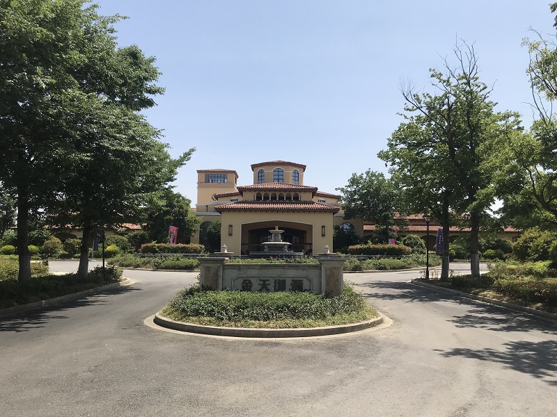 金天御源