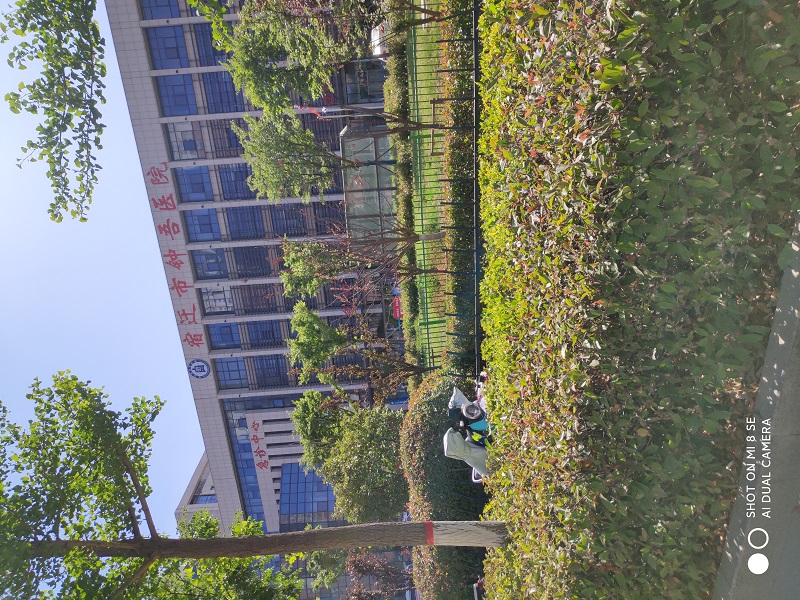 钟吾医院